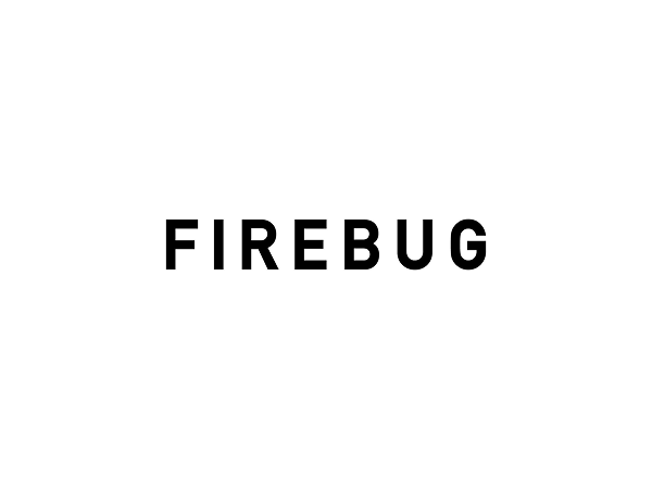 16_FIREBUG